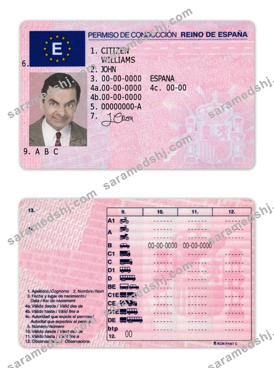 Spain driving license